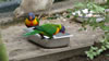Rainbow Springs – Parakeet 