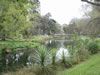 Botanical Gardens, Christchurch – Avon River, with Punt 