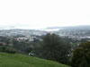 Auckland overlook 